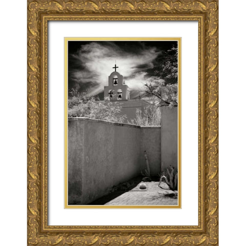 Mission San Xavier I Gold Ornate Wood Framed Art Print with Double Matting by Johnson, George