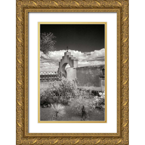 Mission San Xavier II Gold Ornate Wood Framed Art Print with Double Matting by Johnson, George