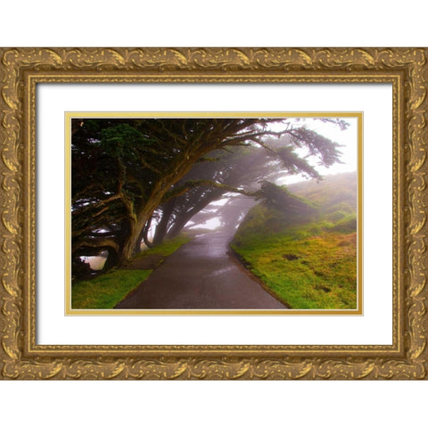 Foggy Path Gold Ornate Wood Framed Art Print with Double Matting by Johnson, George