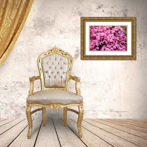 Pink Flowers Gold Ornate Wood Framed Art Print with Double Matting by Johnson, George
