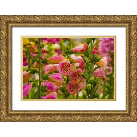 Purple and Yellow Bells Gold Ornate Wood Framed Art Print with Double Matting by Johnson, George