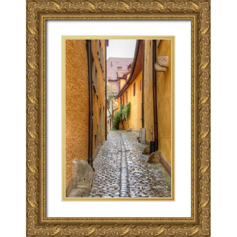 Rothenburg I Gold Ornate Wood Framed Art Print with Double Matting by Johnson, George