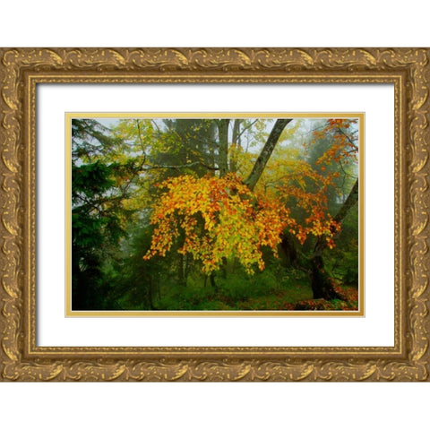 Schloss Hohenschwangau I Gold Ornate Wood Framed Art Print with Double Matting by Johnson, George