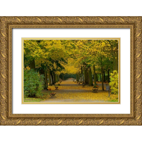 Wurzburg I Gold Ornate Wood Framed Art Print with Double Matting by Johnson, George