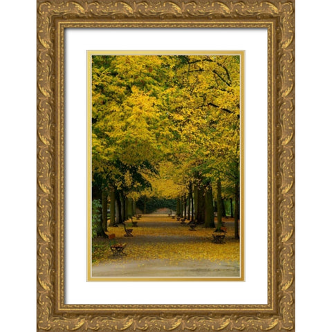 Wurzburg III Gold Ornate Wood Framed Art Print with Double Matting by Johnson, George