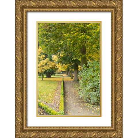 Wurzburg V Gold Ornate Wood Framed Art Print with Double Matting by Johnson, George