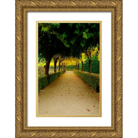 Wurzburg VI Gold Ornate Wood Framed Art Print with Double Matting by Johnson, George