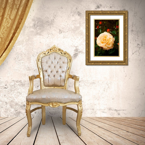 Yellow Rose Gold Ornate Wood Framed Art Print with Double Matting by Johnson, George