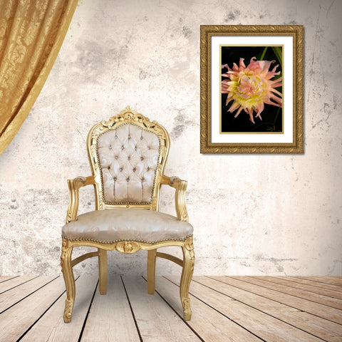 Pink and Yellow Dahlia Gold Ornate Wood Framed Art Print with Double Matting by Johnson, George