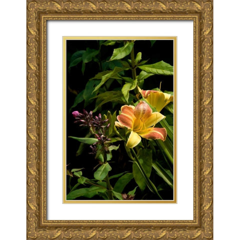 Pink and Yellow Lily Gold Ornate Wood Framed Art Print with Double Matting by Johnson, George