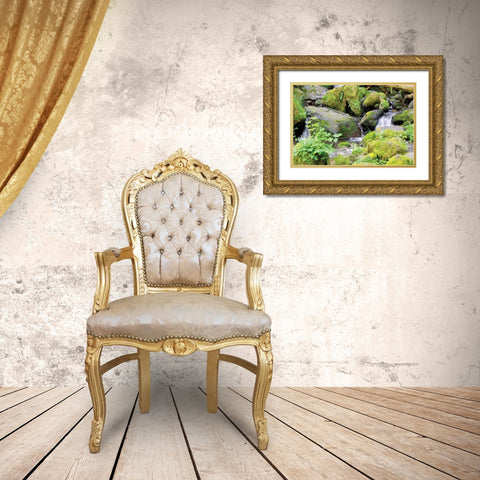 Lake Quinalt small falls Gold Ornate Wood Framed Art Print with Double Matting by Johnson, George