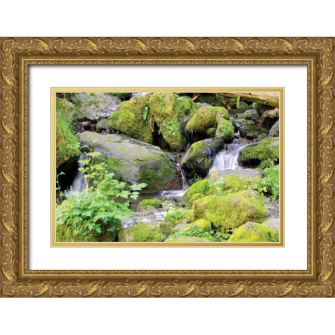Lake Quinalt small falls Gold Ornate Wood Framed Art Print with Double Matting by Johnson, George