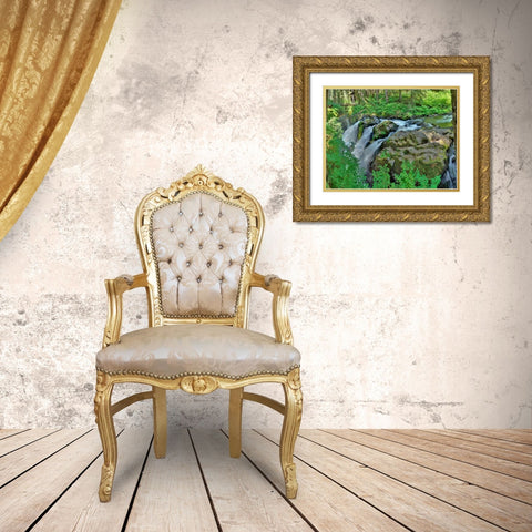 Port Angeles Falls I Gold Ornate Wood Framed Art Print with Double Matting by Johnson, George