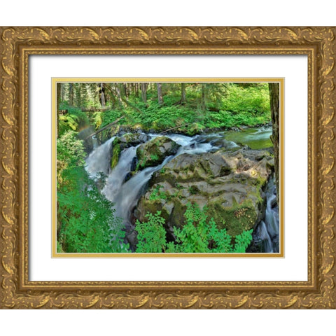 Port Angeles Falls I Gold Ornate Wood Framed Art Print with Double Matting by Johnson, George