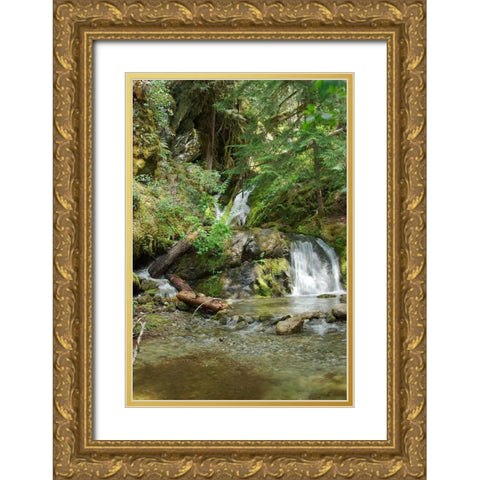 North Cascades NP II Gold Ornate Wood Framed Art Print with Double Matting by Johnson, George