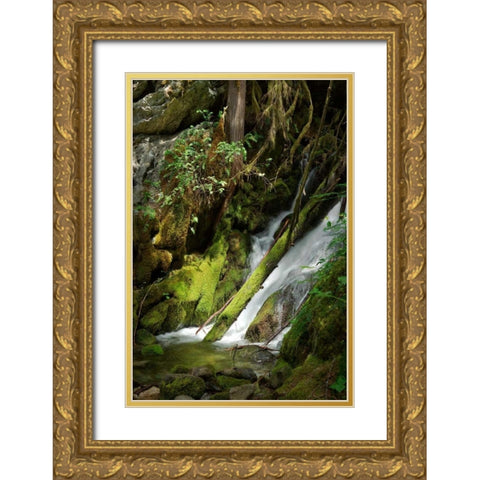 North Cascades NP IV Gold Ornate Wood Framed Art Print with Double Matting by Johnson, George