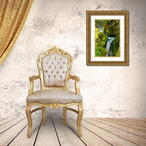 North Cascades NP V Gold Ornate Wood Framed Art Print with Double Matting by Johnson, George