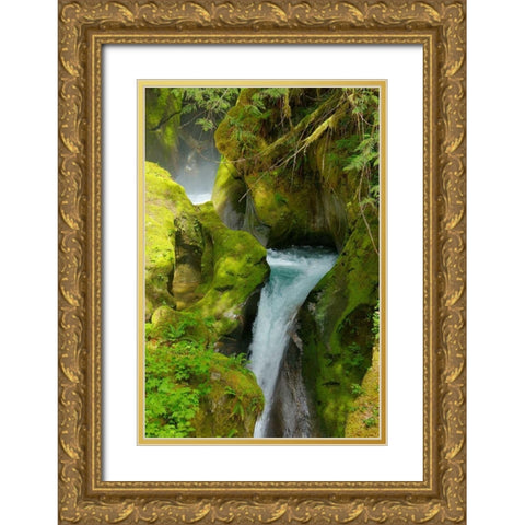 North Cascades NP V Gold Ornate Wood Framed Art Print with Double Matting by Johnson, George