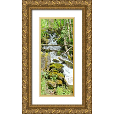 North Cascades NP VI Gold Ornate Wood Framed Art Print with Double Matting by Johnson, George