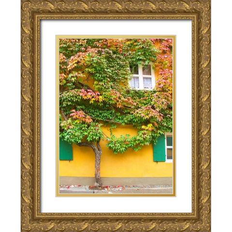 Augsburg Tree and Windows Gold Ornate Wood Framed Art Print with Double Matting by Johnson, George