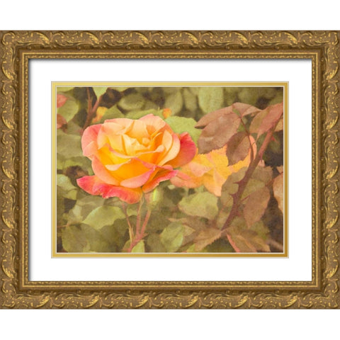 Sunset Rose Gold Ornate Wood Framed Art Print with Double Matting by Johnson, George
