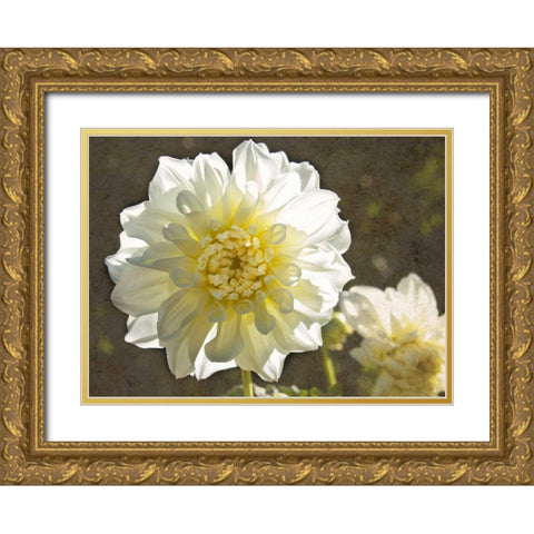 Kaleidoscope Dahlia Gold Ornate Wood Framed Art Print with Double Matting by Johnson, George