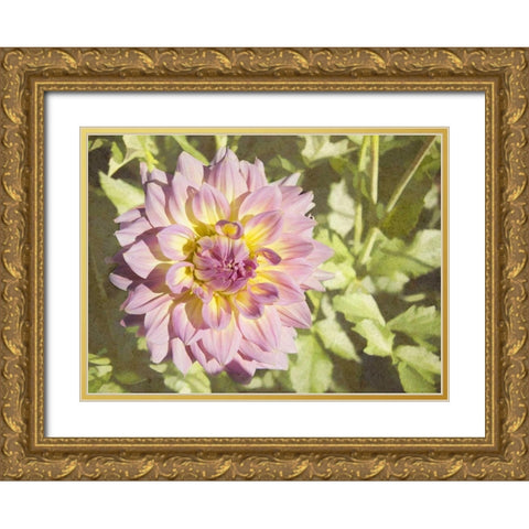 Garden Dahlias II Gold Ornate Wood Framed Art Print with Double Matting by Johnson, George