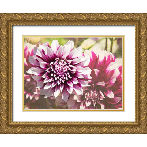 Garden Dahlias III Gold Ornate Wood Framed Art Print with Double Matting by Johnson, George