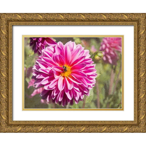 Garden Dahlias IV Gold Ornate Wood Framed Art Print with Double Matting by Johnson, George