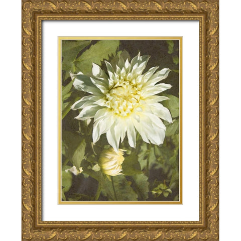 Garden Dahlias VII Gold Ornate Wood Framed Art Print with Double Matting by Johnson, George
