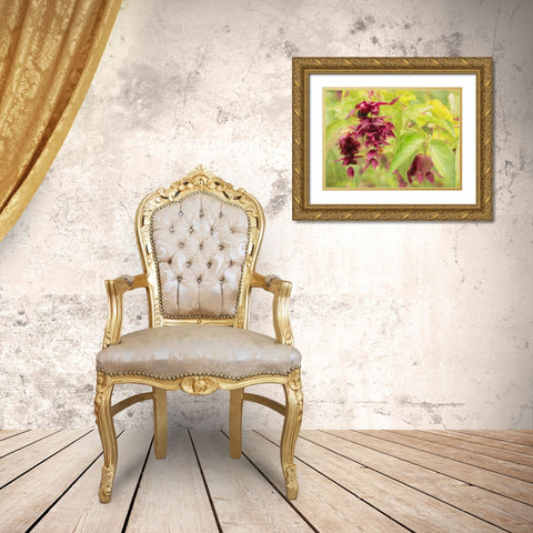 Red Berries and Green Leaves Gold Ornate Wood Framed Art Print with Double Matting by Johnson, George