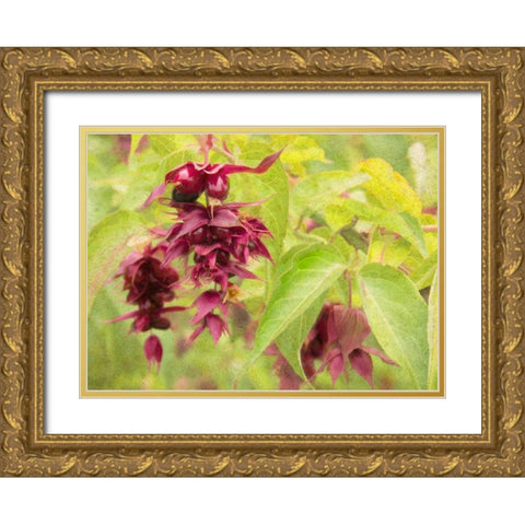 Red Berries and Green Leaves Gold Ornate Wood Framed Art Print with Double Matting by Johnson, George