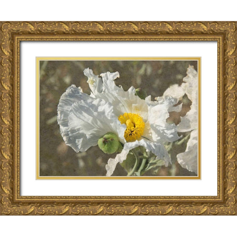 Garden Poppies Gold Ornate Wood Framed Art Print with Double Matting by Johnson, George