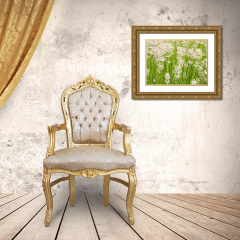White on Green Field Gold Ornate Wood Framed Art Print with Double Matting by Johnson, George