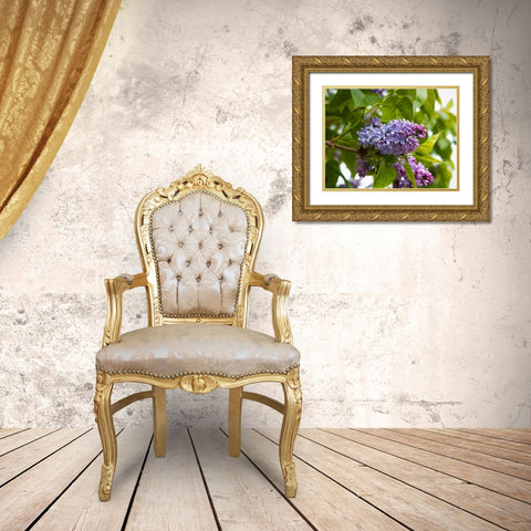 Karens Lilac Gold Ornate Wood Framed Art Print with Double Matting by Johnson, George