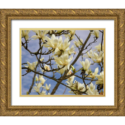 Tulip Treer Gold Ornate Wood Framed Art Print with Double Matting by Johnson, George