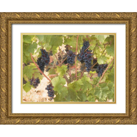 Low Hanging Fruit Gold Ornate Wood Framed Art Print with Double Matting by Johnson, George