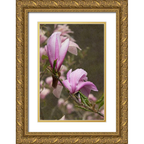 Pink Tulip Tree I Gold Ornate Wood Framed Art Print with Double Matting by Johnson, George