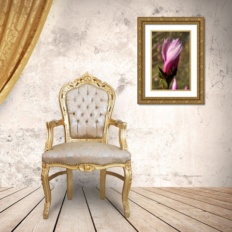 Pink Tulip Tree II Gold Ornate Wood Framed Art Print with Double Matting by Johnson, George