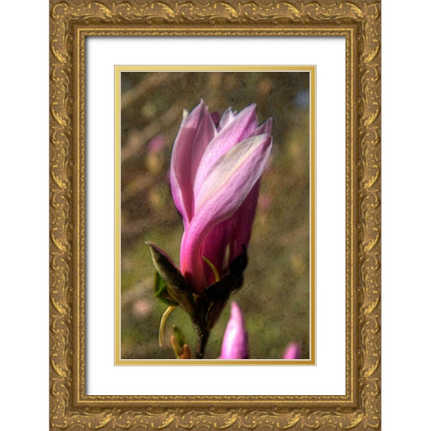 Pink Tulip Tree II Gold Ornate Wood Framed Art Print with Double Matting by Johnson, George