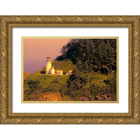 Heceta Head Lighthouse Gold Ornate Wood Framed Art Print with Double Matting by Johnson, George
