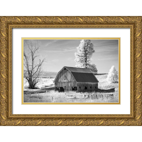 Palouse Barn Gold Ornate Wood Framed Art Print with Double Matting by Johnson, George