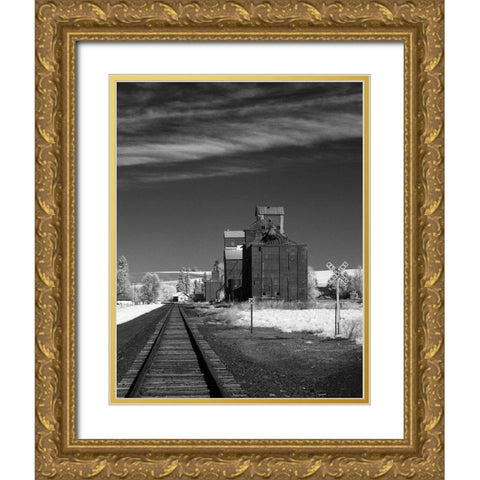 Railroad Grain Storage Gold Ornate Wood Framed Art Print with Double Matting by Johnson, George