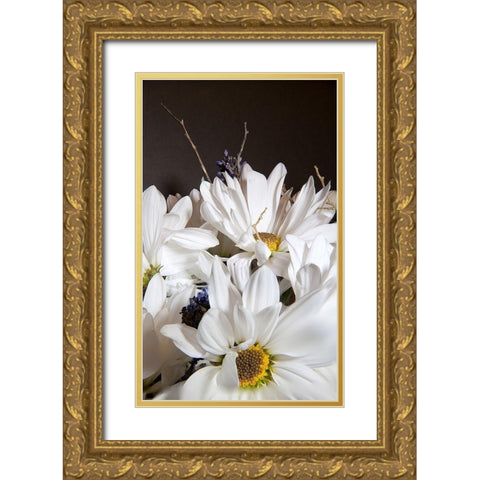 White Daisies Gold Ornate Wood Framed Art Print with Double Matting by Johnson, George