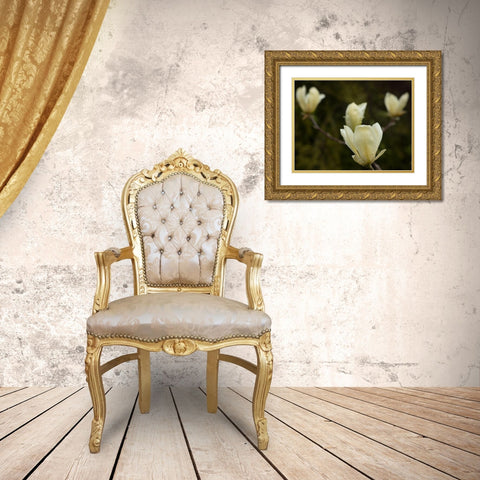Tulip Tree Flowers Gold Ornate Wood Framed Art Print with Double Matting by Johnson, George