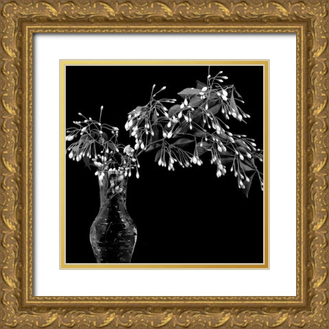 White Tree Flowers Gold Ornate Wood Framed Art Print with Double Matting by Johnson, George