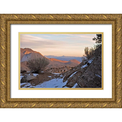 Desert I Gold Ornate Wood Framed Art Print with Double Matting by Kidd, Brian