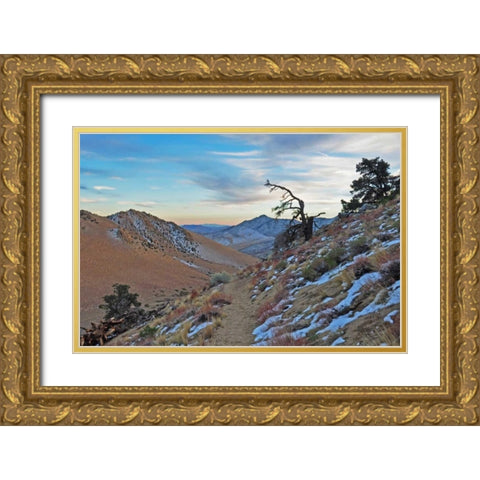 Desert II Gold Ornate Wood Framed Art Print with Double Matting by Kidd, Brian