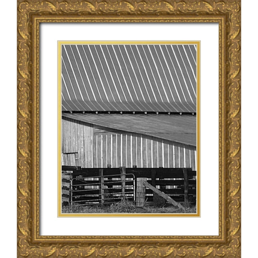 Perspective Image