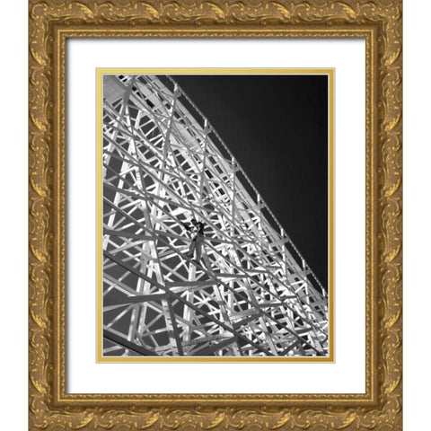 Safety Check I Gold Ornate Wood Framed Art Print with Double Matting by Larson, Scott